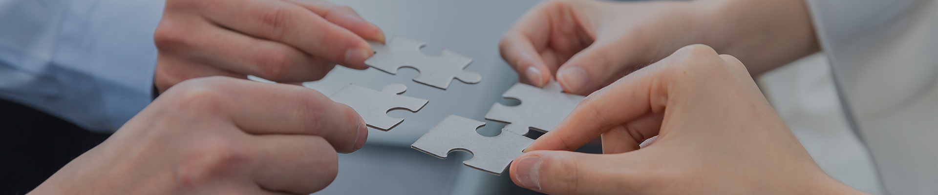 Innovation, teamwork, honesty, speed, excellence